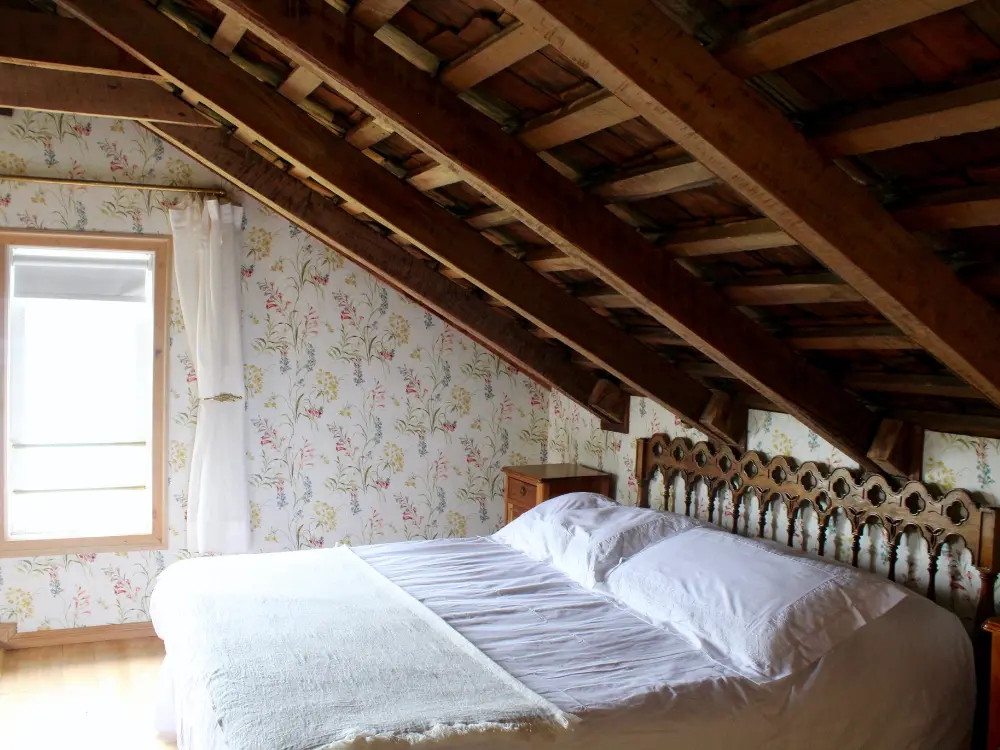 suite superior