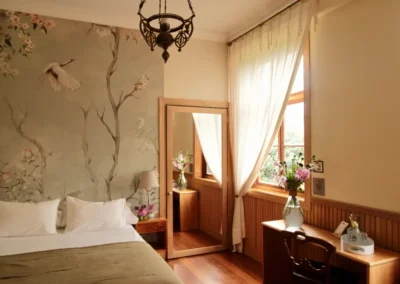 suite superior