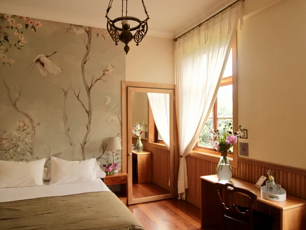 suite superior